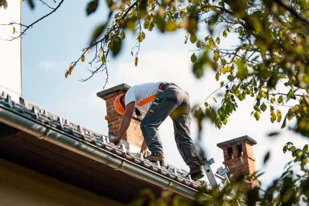 Best Storm Damage Roof Repair  in Burr Ridge, IL