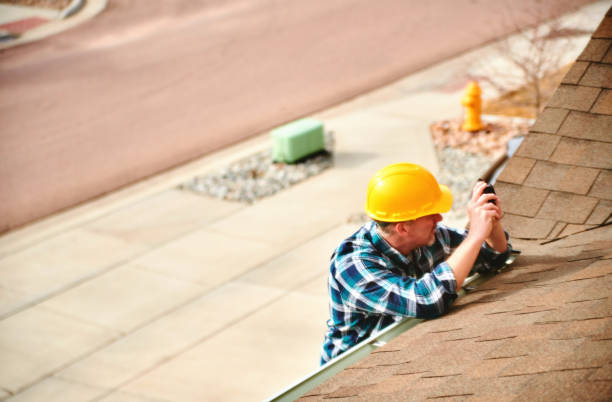 Best Roof Gutter Cleaning  in Burr Ridge, IL