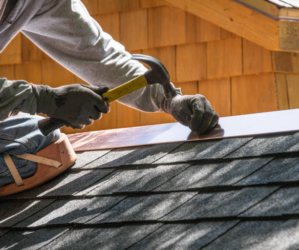 Best Residential Roofing Contractor  in Burr Ridge, IL